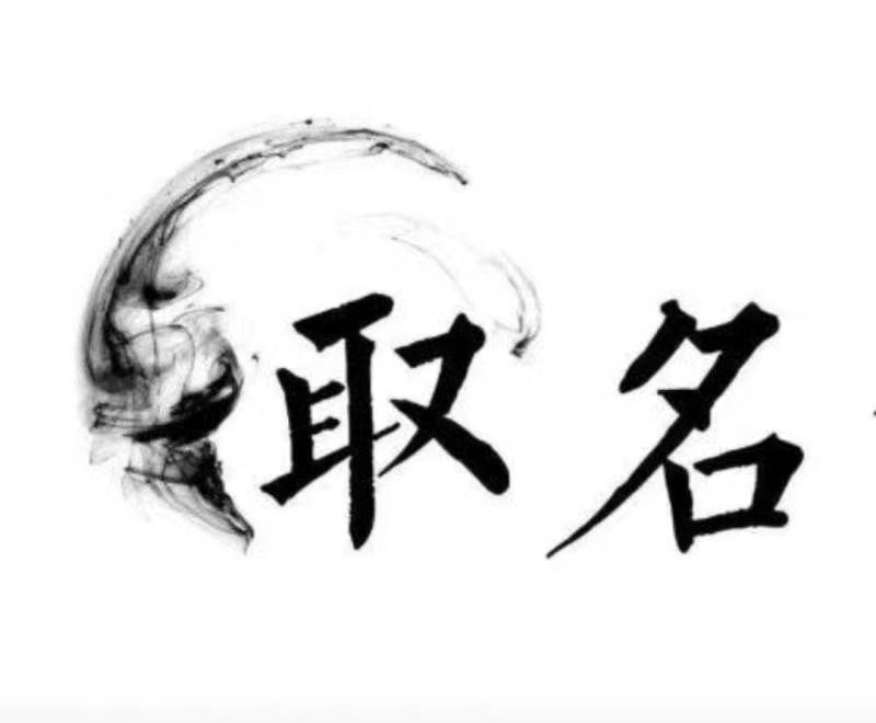  南木林宝宝取名 大师一对一人工起名